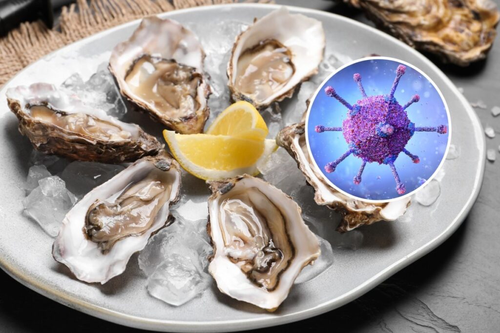 Oysters and clams recalled in Washington and Canada due to potential norovirus contamination, highlighting food safety concerns and health risks.